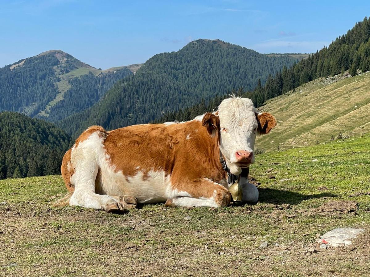 Gailtal Appartements Naehe Skigebiet Wertschach Esterno foto